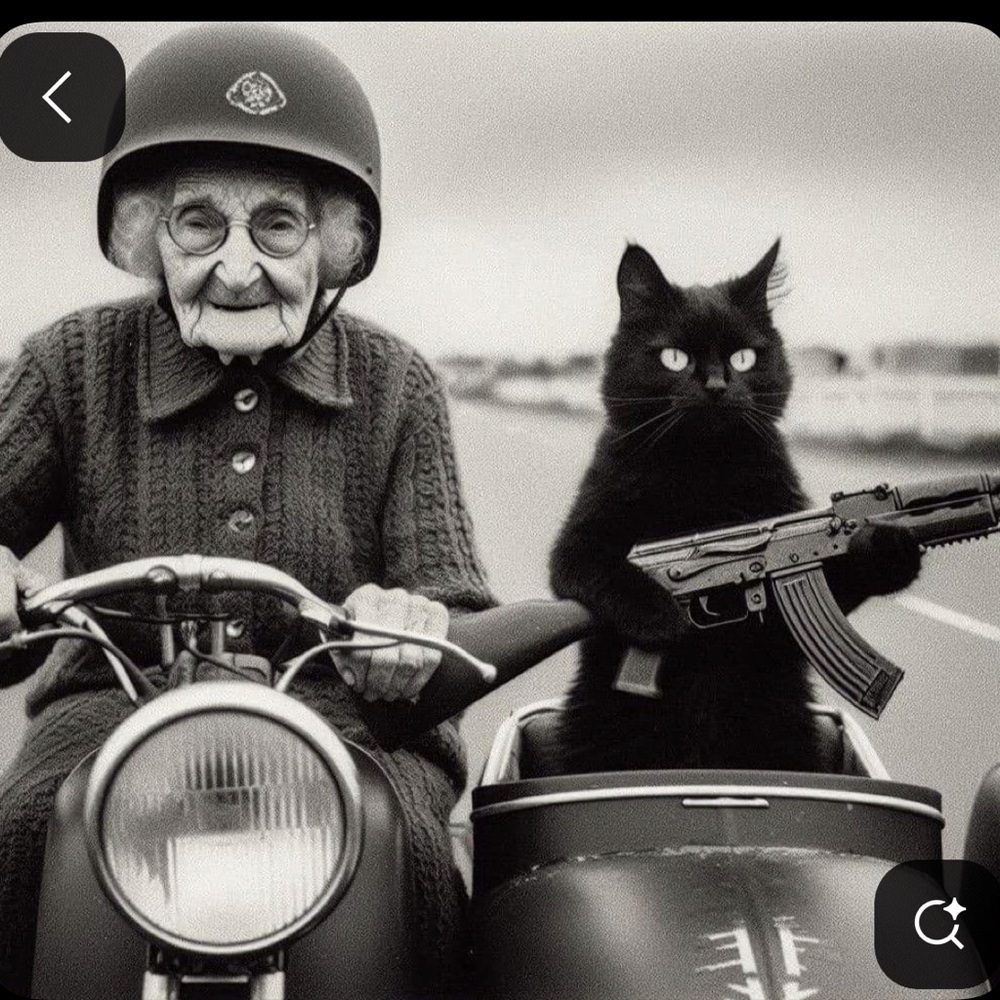 Meet your Posher, Mifune